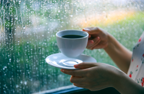 Rainy day peace